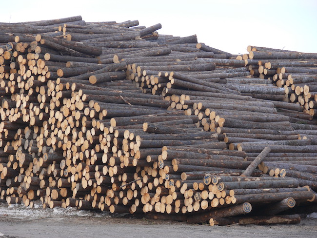 Photo: Canadian Forest Industries